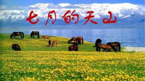 小学语文人教部编版 (五四制)四年级下册七月的天山教案配套ppt课件