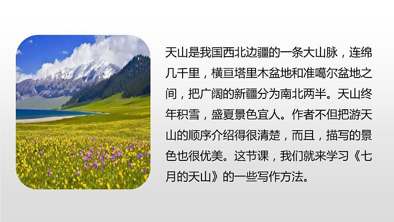 部编版四年级语文下册《习作例文:七月的天山》PPT课件 (1)05