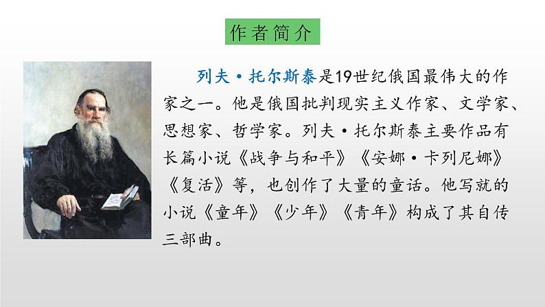 部编版五年级语文下册《跳水》PPT优秀课件 (7)02