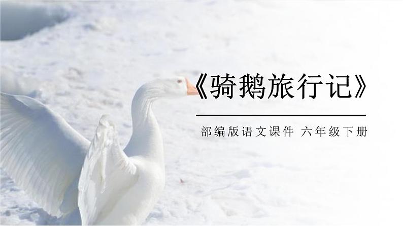 部编版六年级语文下册《骑鹅旅行记》PPT课文课件 (4)第1页