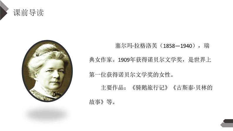 部编版六年级语文下册《骑鹅旅行记》PPT课文课件 (4)第4页