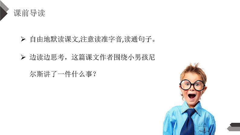 部编版六年级语文下册《骑鹅旅行记》PPT课文课件 (4)第5页