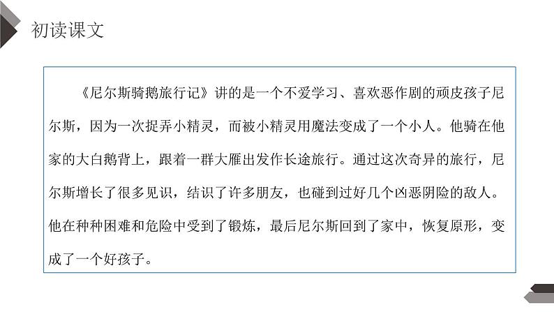 部编版六年级语文下册《骑鹅旅行记》PPT课文课件 (4)第6页