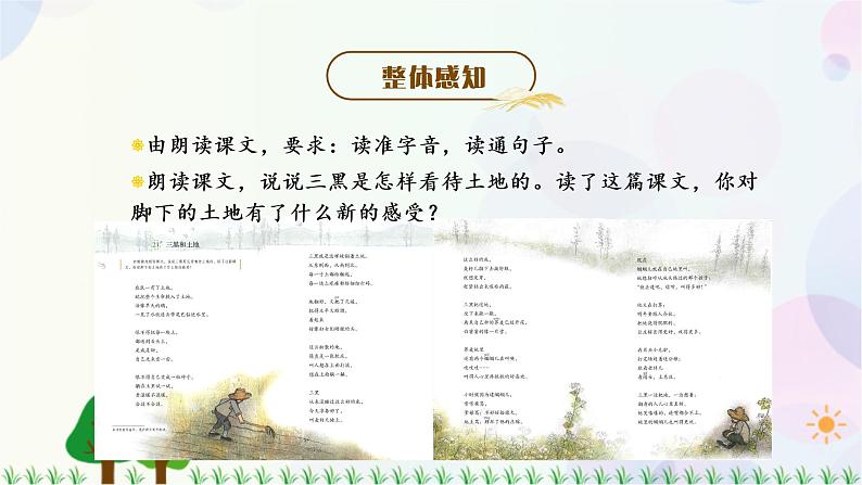 21.三黑和土地第8页
