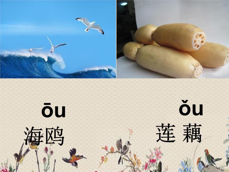 人教部编版（五四制）一年级上册语文汉语拼音《ao ou iu》课件07