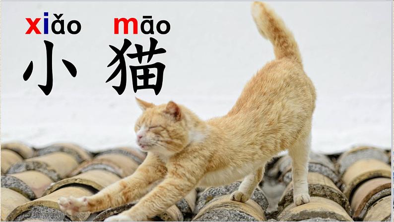 人教部编版(五四制)一年级上册语文识字(二)《大小多少》课件06