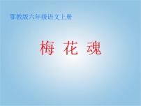 五年级下册梅花魂备课ppt课件
