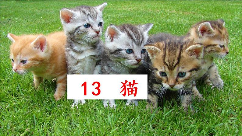 部编版四年级下册《猫》PPT课件PPT第2页