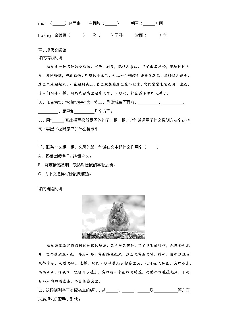 部编版语文五年级上松鼠练习试题第2页