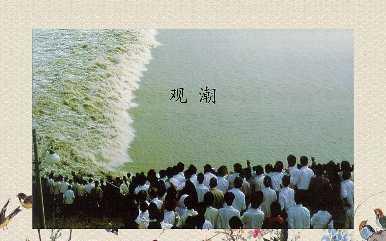 人教部编版(五四制)四年级上册语文 第一单元 《观 潮》课件PPT第1页