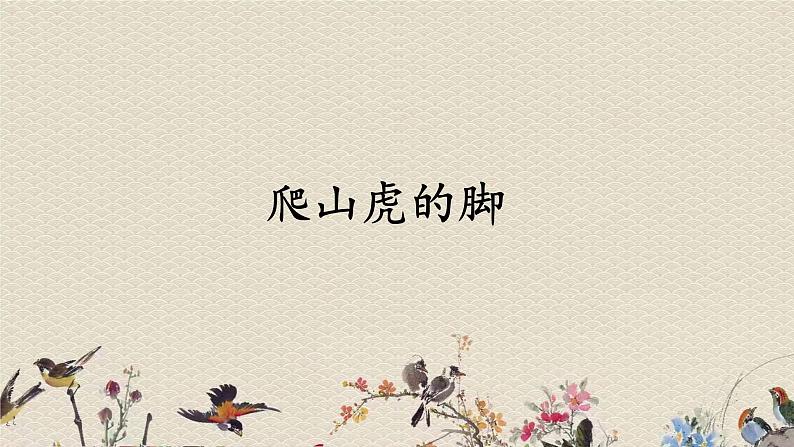 人教部编版(五四制)四年级上册语文 第三单元《爬山虎的脚》课件ppt第1页