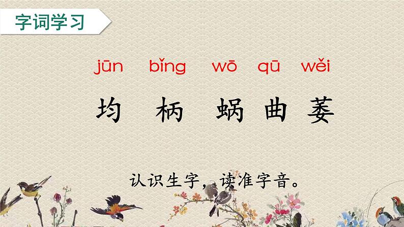 人教部编版(五四制)四年级上册语文 第三单元《爬山虎的脚》课件ppt第6页