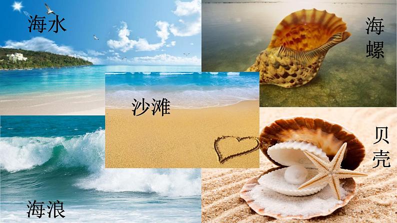 11 项链(课件+教案+反思+课时练+类文阅读)04
