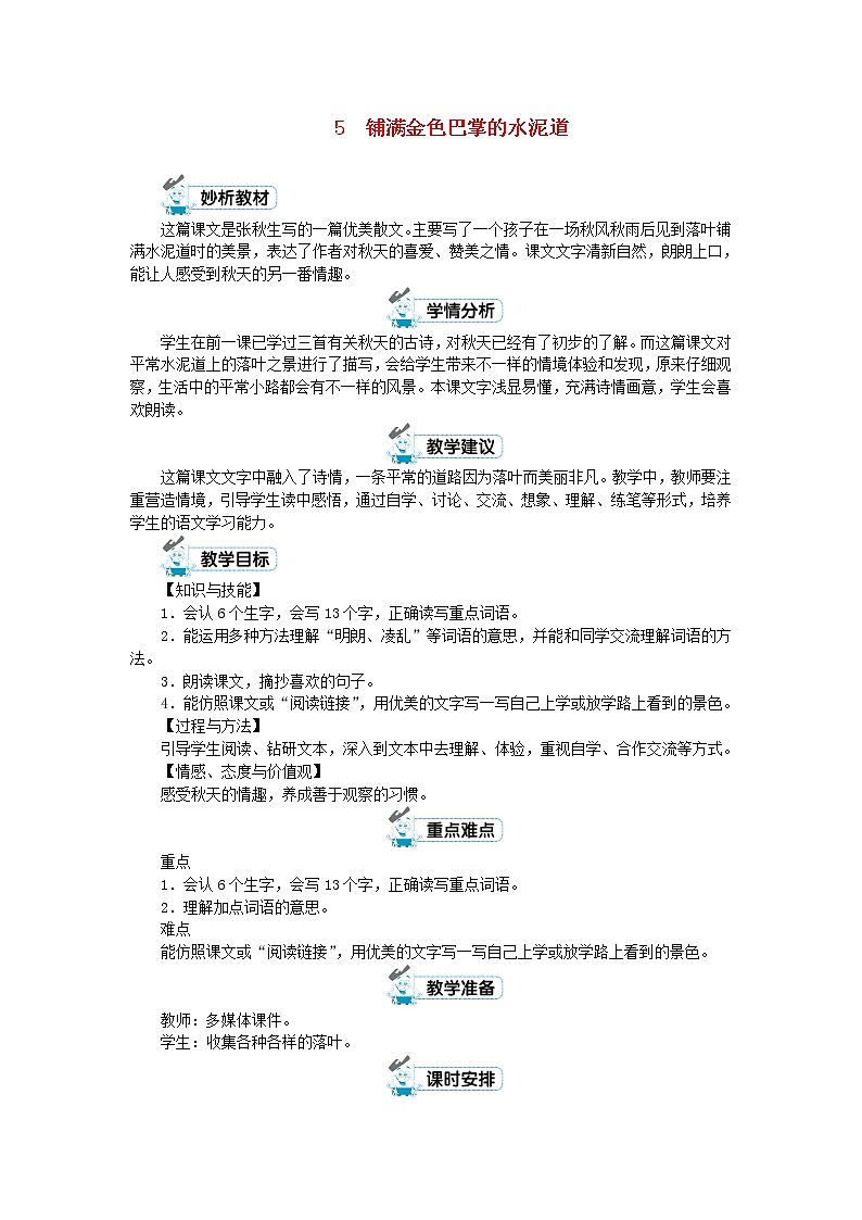 三年级语文上册第二单元5铺满金色巴掌的水泥道第1课时教案新人教版01