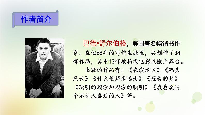 五年级语文上册第六单元 20 “精彩极了”和“糟糕透了”课件第3页