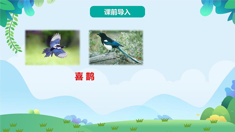 9 枫树上的喜鹊(课件)第2页