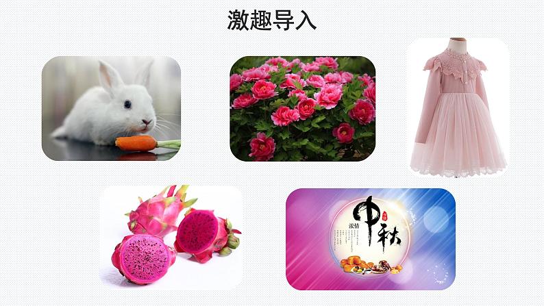 【教学课件】习作:介绍一种事物示范课件第3页