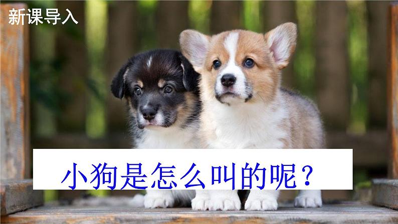 部编版 语文三年级上册 14 小狗学叫 课件+视频06