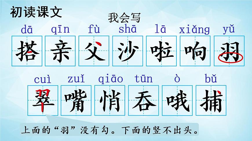 部編版 語文三年級上冊 15 搭船的鳥 課件第8頁