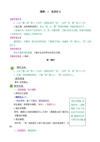 语文课文12 我是什么公开课教案