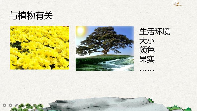 习作:介绍一种事物第6页