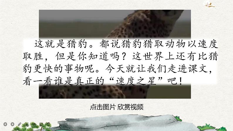 7 什么比猎豹的速度更快(课件)01