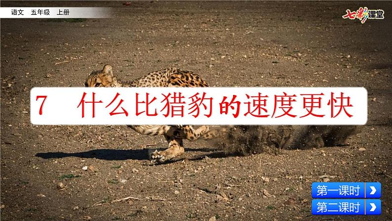 7 什么比猎豹的速度更快(课件)02