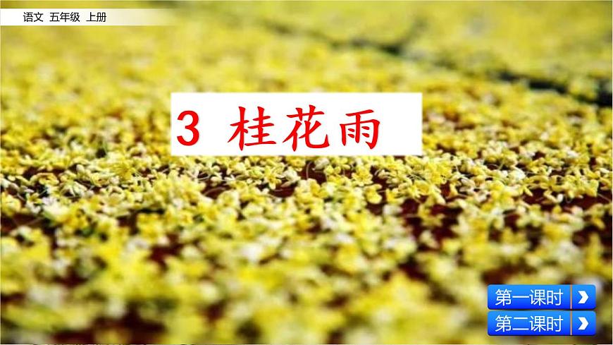 3 桂花雨第2頁(yè)