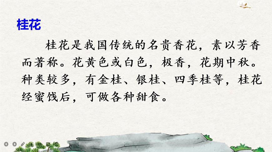 3 桂花雨第4頁(yè)