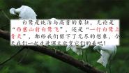 小学语文人教部编版 (五四制)五年级上册1 白鹭教学演示课件ppt
