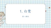 五年级上册1 白鹭教案配套课件ppt