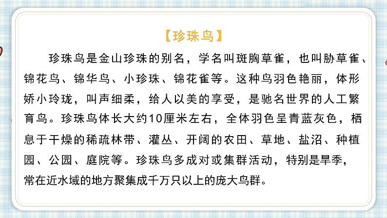 部编版五年级语文上册 第一单元 4.珍珠鸟 课件04
