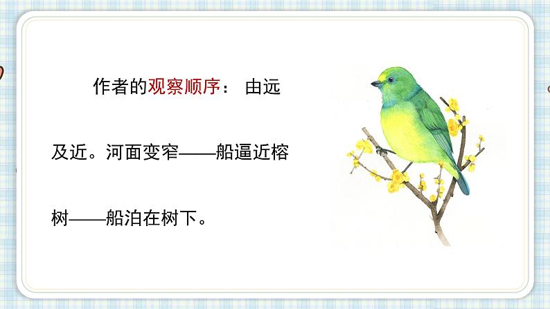 部编版五年级语文上册 第七单元 23.鸟的天堂 课件05