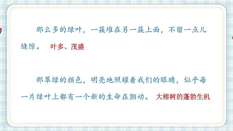 部编版五年级语文上册 第七单元 23.鸟的天堂 课件07