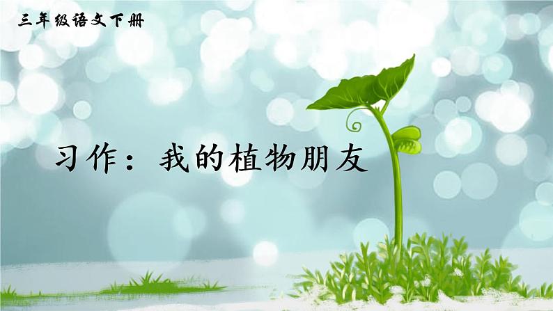 习作:我的植物朋友(课件)第3页