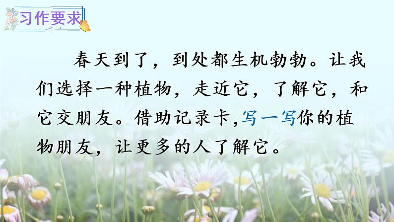 习作:我的植物朋友(课件)第4页