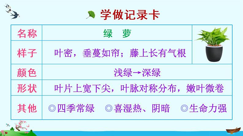 习作:我的植物朋友(课件)第5页