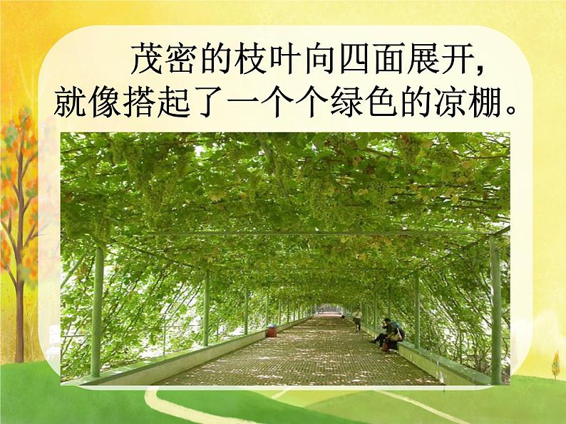 部编版小学语文二年级上册 11葡萄沟(1)(课件)第7页
