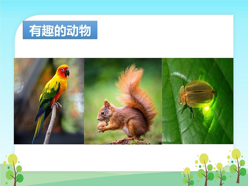 部编版小学语文二年级上册 口语交际:有趣的动物(课件)第3页