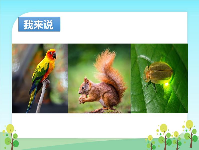 部编版小学语文二年级上册 口语交际:有趣的动物(课件)第6页
