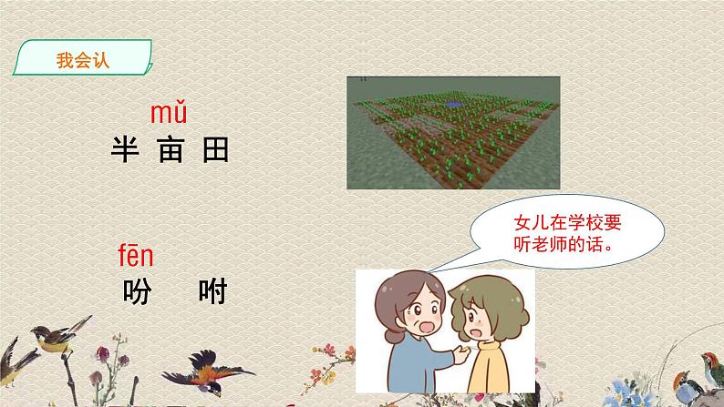 人教部编版(五四制)五年级上册 语文 第一单元《落花生》课件第6页
