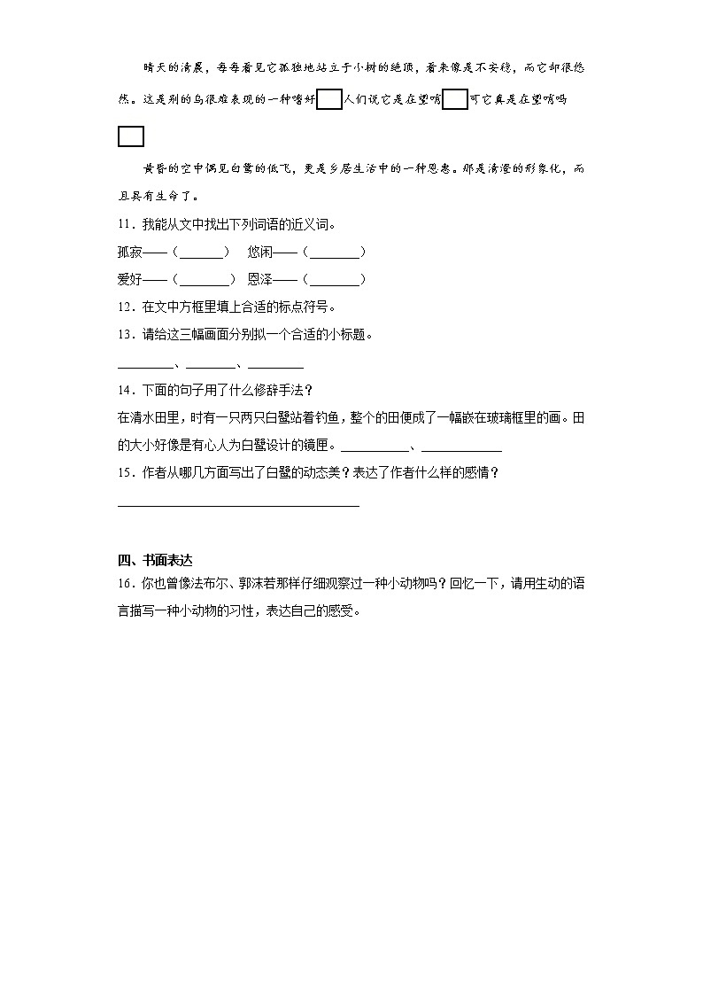 部编版语文五年级上册白鹭同步练习03