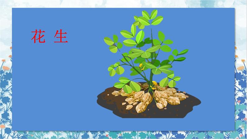 2021~2022学年小学语文人教部编版 五年级上册 第一单元2落花生 课件02