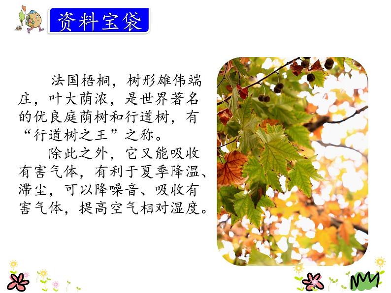 部编版三年级上册语文课件铺满金色巴掌的水泥道第3页