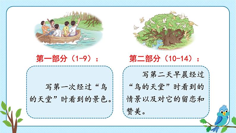 人教部编版语文五年级上册23鸟的天堂教学课件08