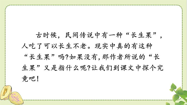 人教部编版语文五年级上册27我的“长生果”教学课件第4页