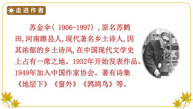 部编版语文六年级上册21三黑和土地 (课件+素材)05