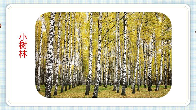 部编版四年级语文上册 第一单元 习作:推荐一个好地方 课件05