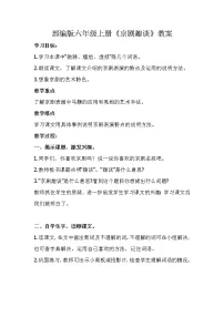 小学语文人教部编版六年级上册24* 京剧趣谈教案
