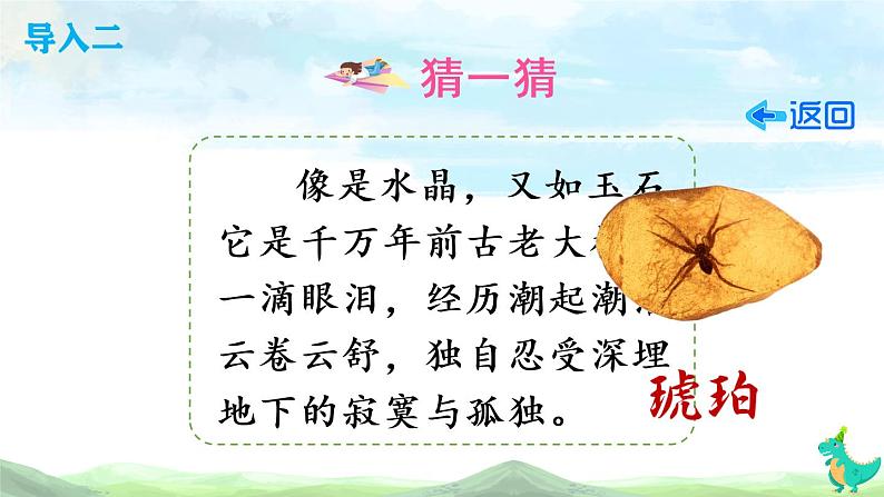 5 琥珀(课件)第5页